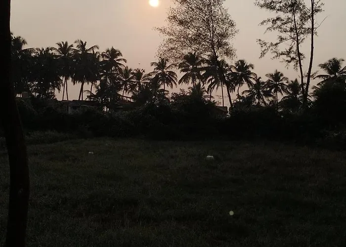 Dream Oasis Home Stay